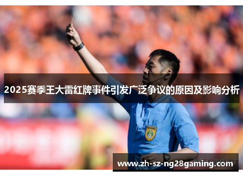 2025赛季王大雷红牌事件引发广泛争议的原因及影响分析