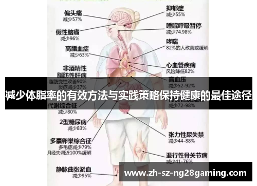 减少体脂率的有效方法与实践策略保持健康的最佳途径