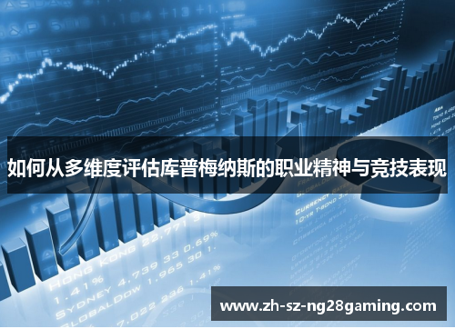 如何从多维度评估库普梅纳斯的职业精神与竞技表现