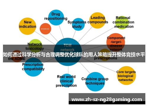如何通过科学分析与合理调整优化球队的用人策略提升整体竞技水平