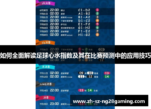 如何全面解读足球心水指数及其在比赛预测中的应用技巧