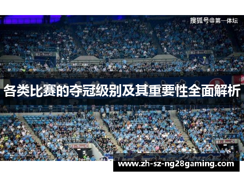 各类比赛的夺冠级别及其重要性全面解析