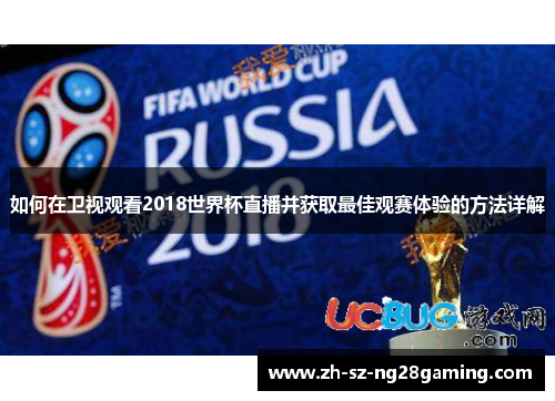 如何在卫视观看2018世界杯直播并获取最佳观赛体验的方法详解