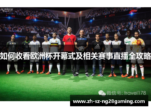 如何收看欧洲杯开幕式及相关赛事直播全攻略