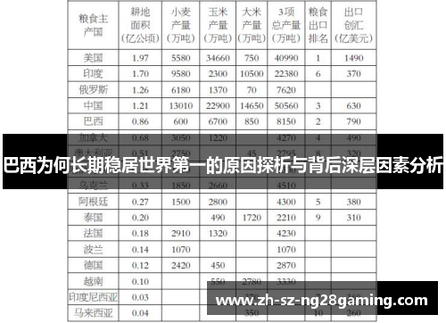 巴西为何长期稳居世界第一的原因探析与背后深层因素分析