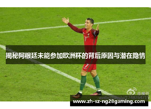 揭秘阿根廷未能参加欧洲杯的背后原因与潜在隐情