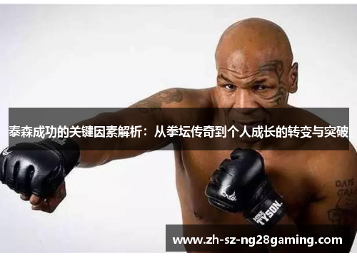 泰森成功的关键因素解析：从拳坛传奇到个人成长的转变与突破