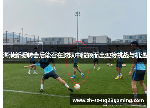 海港新援转会后能否在球队中脱颖而出迎接挑战与机遇