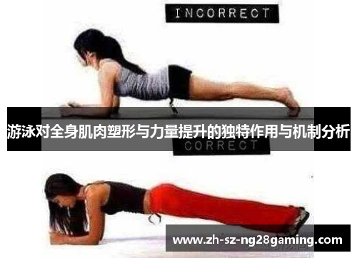 游泳对全身肌肉塑形与力量提升的独特作用与机制分析