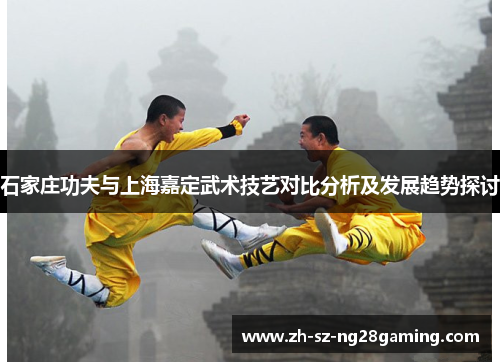 石家庄功夫与上海嘉定武术技艺对比分析及发展趋势探讨