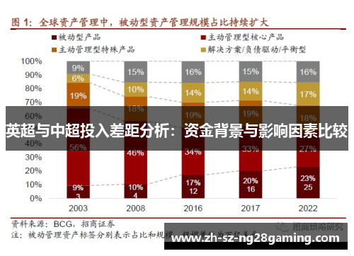 英超与中超投入差距分析：资金背景与影响因素比较