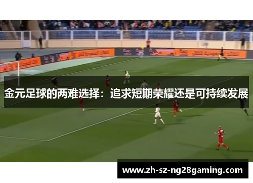 金元足球的两难选择：追求短期荣耀还是可持续发展