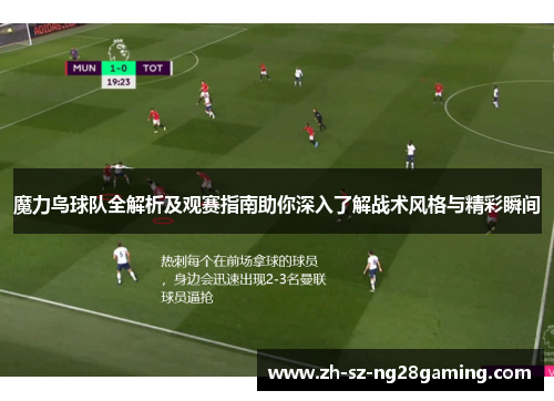 魔力鸟球队全解析及观赛指南助你深入了解战术风格与精彩瞬间