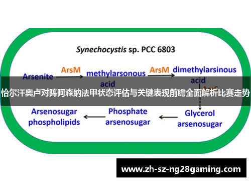 恰尔汗奥卢对阵阿森纳法甲状态评估与关键表现前瞻全面解析比赛走势 恰尔汗奥卢对阵阿森纳法甲状态评估与关键表现前瞻全面解析比赛走势