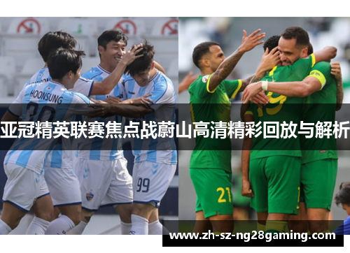 亚冠精英联赛焦点战蔚山高清精彩回放与解析 亚冠精英联赛焦点战蔚山高清精彩回放与解析